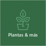 Plantas & más