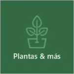 Plantas & más