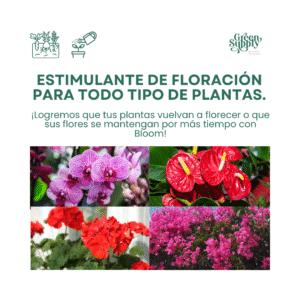 Alternative view of Estimulante de Floración - BLOOM | 250ml