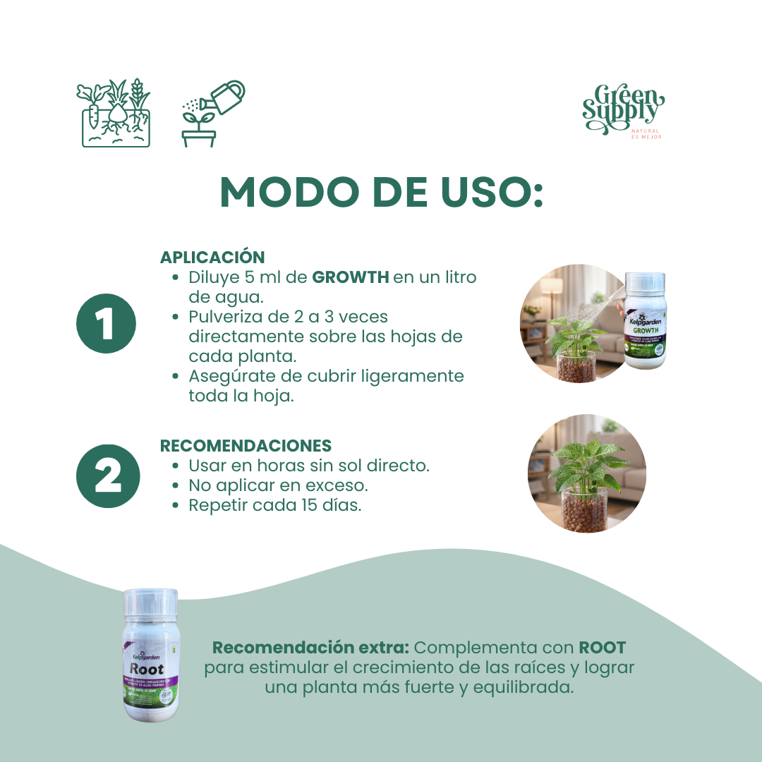 Nutriente de Crecimiento GROWTH | 250ml - Imagen 3