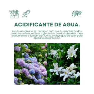 Alternative view of Acidificante de agua PH | 1L