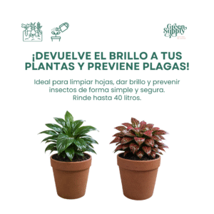 Alternative view of Pack Limpieza 200ml (Aceite de Neem + Jabón Potásico)