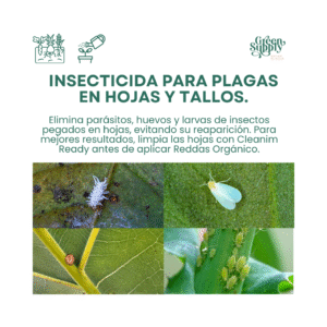 Alternative view of Insecticida REDDAS | 250ml