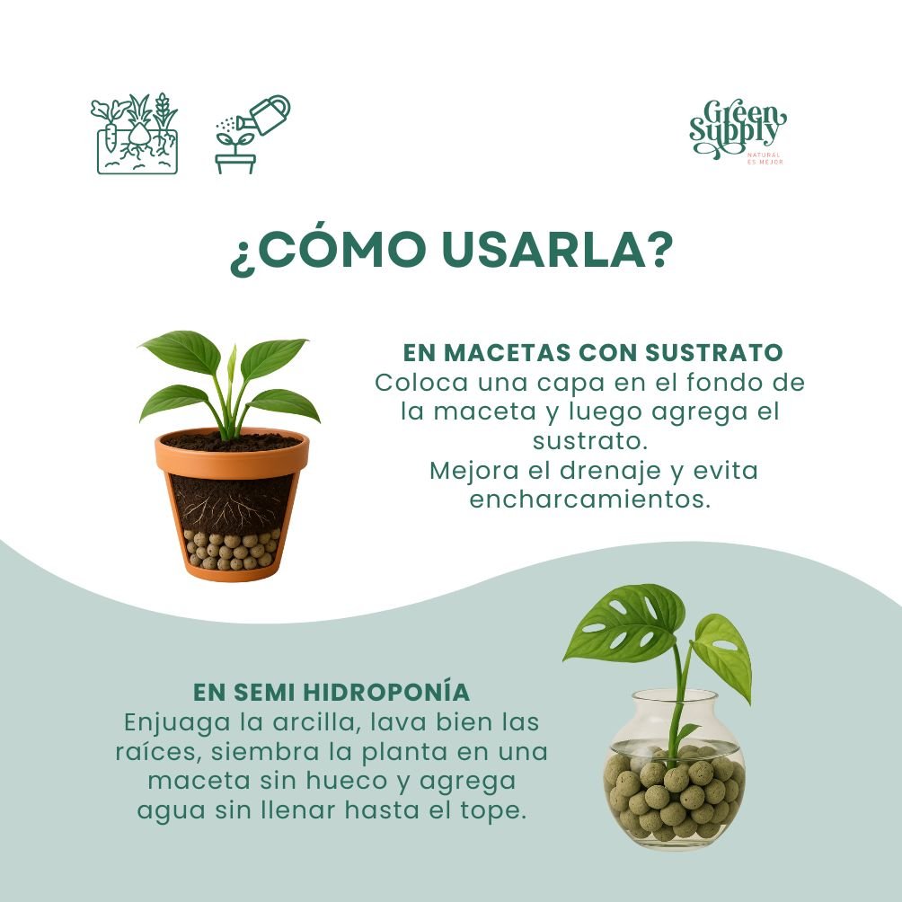 Arcilla Expandida | 3lt - Imagen 3