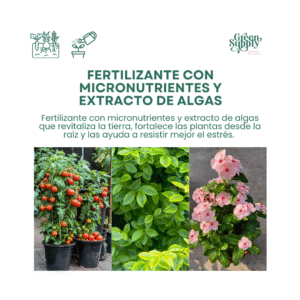 Alternative view of Recuperador de plantas Combi | 250g