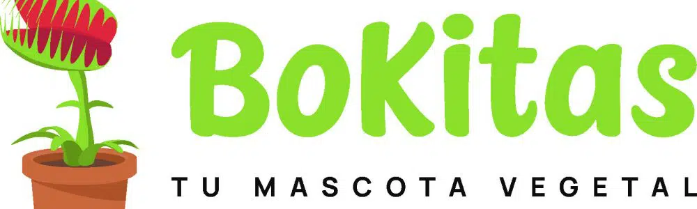 BokitasPeru