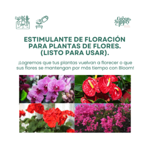 Alternative view of Estimulante de Floración - Bloom Ready 600ml