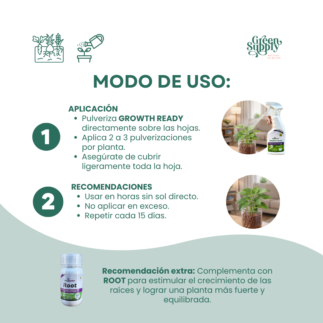 Growth Ready 600ml (Nutriente De Crecimiento) - Imagen 3