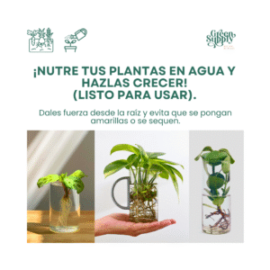 Alternative view of Growth Ready 600ml (Nutriente De Crecimiento)