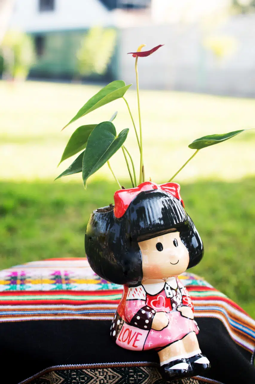Anturio Rojo Enano + Maceta Mafalda Love | 25 cm - Imagen 3