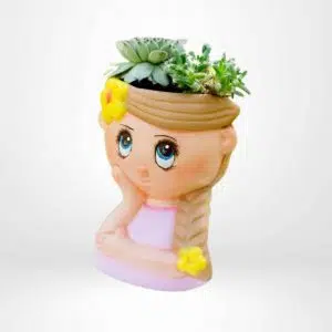 Suculentas + Maceta Soñadora | 20cm