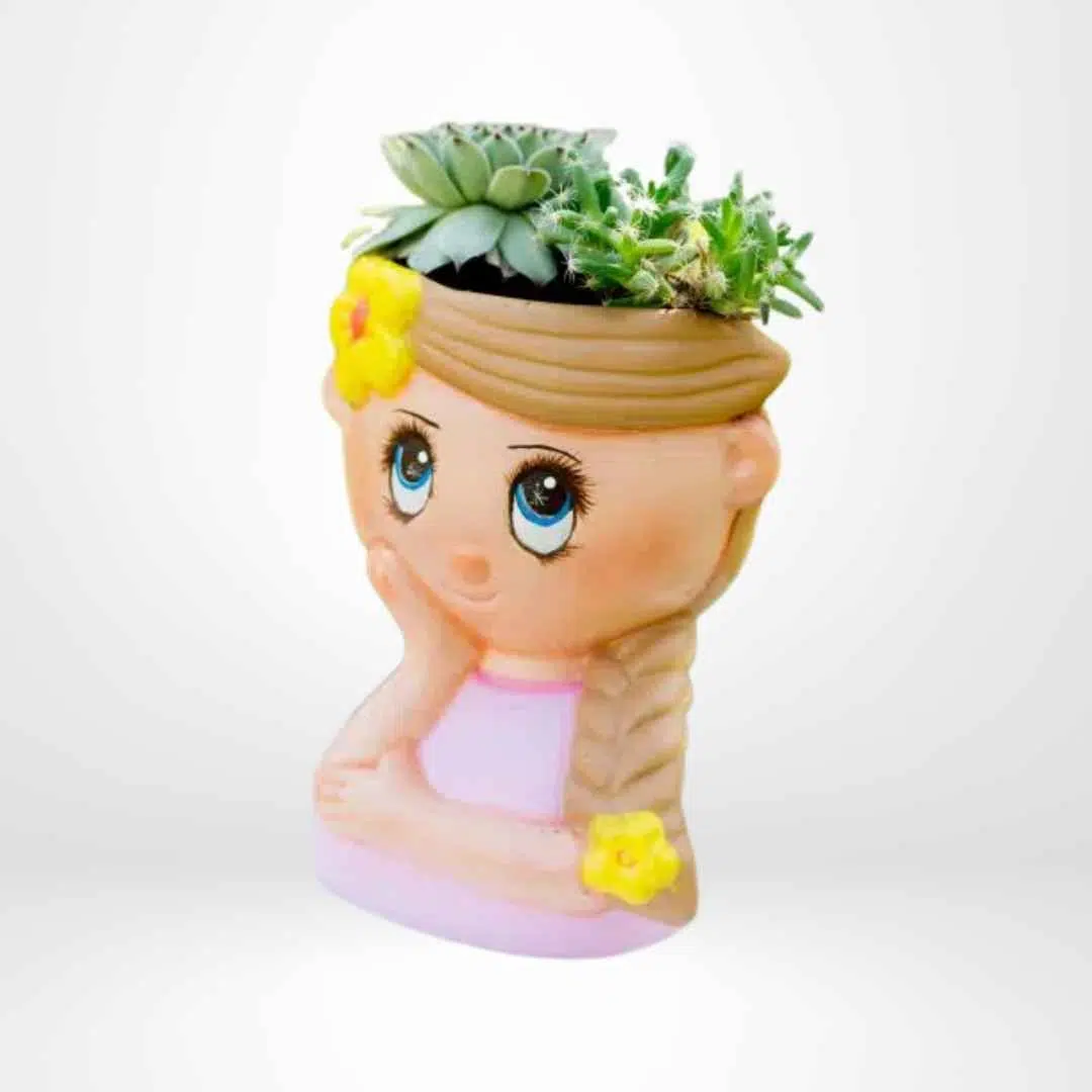 Suculentas + Maceta Soñadora | 20cm