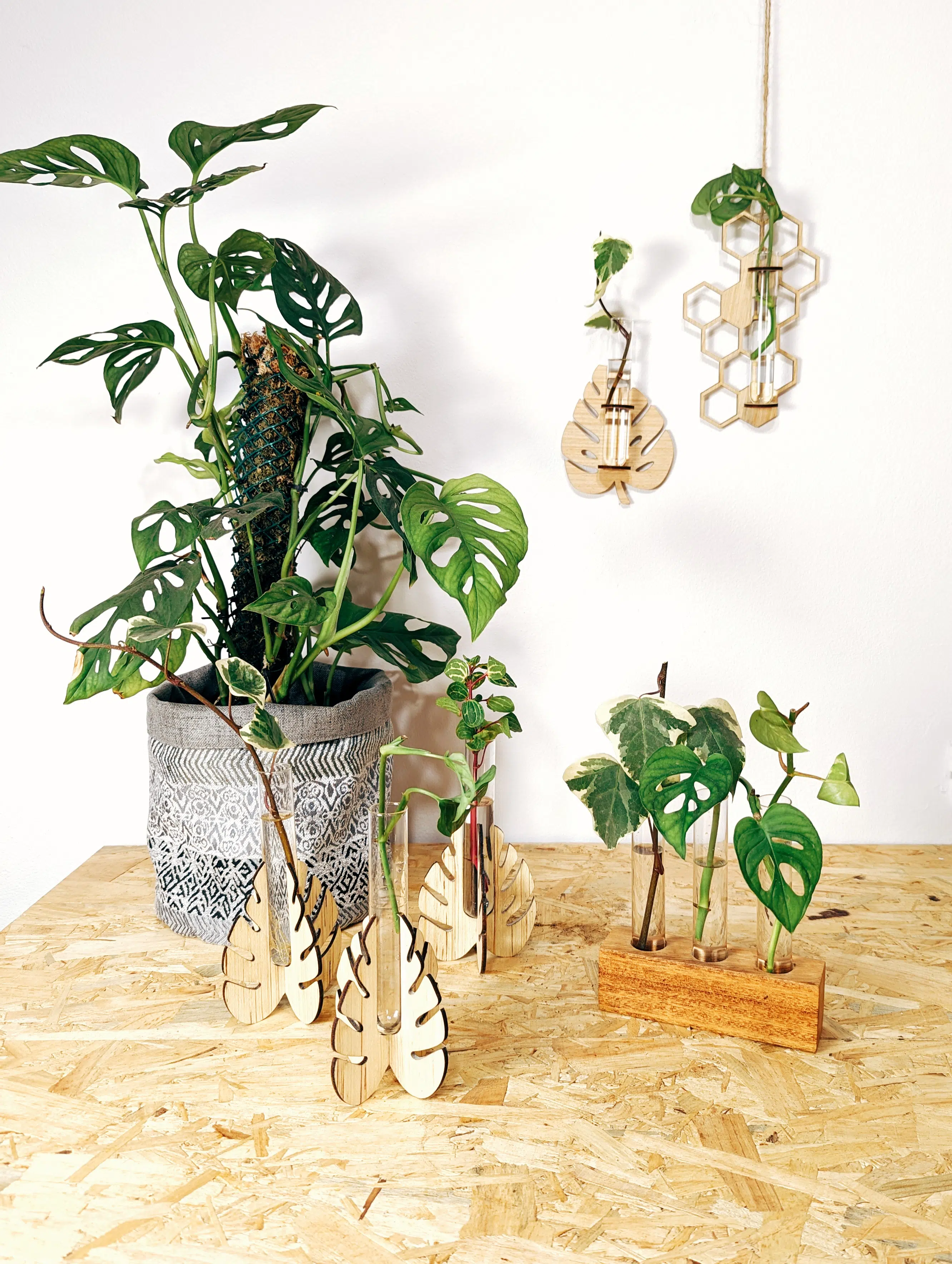 Soporte Hoja - Propagador | 19cm - Imagen 5