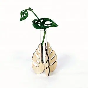 Soporte Hoja - Propagador | 19cm