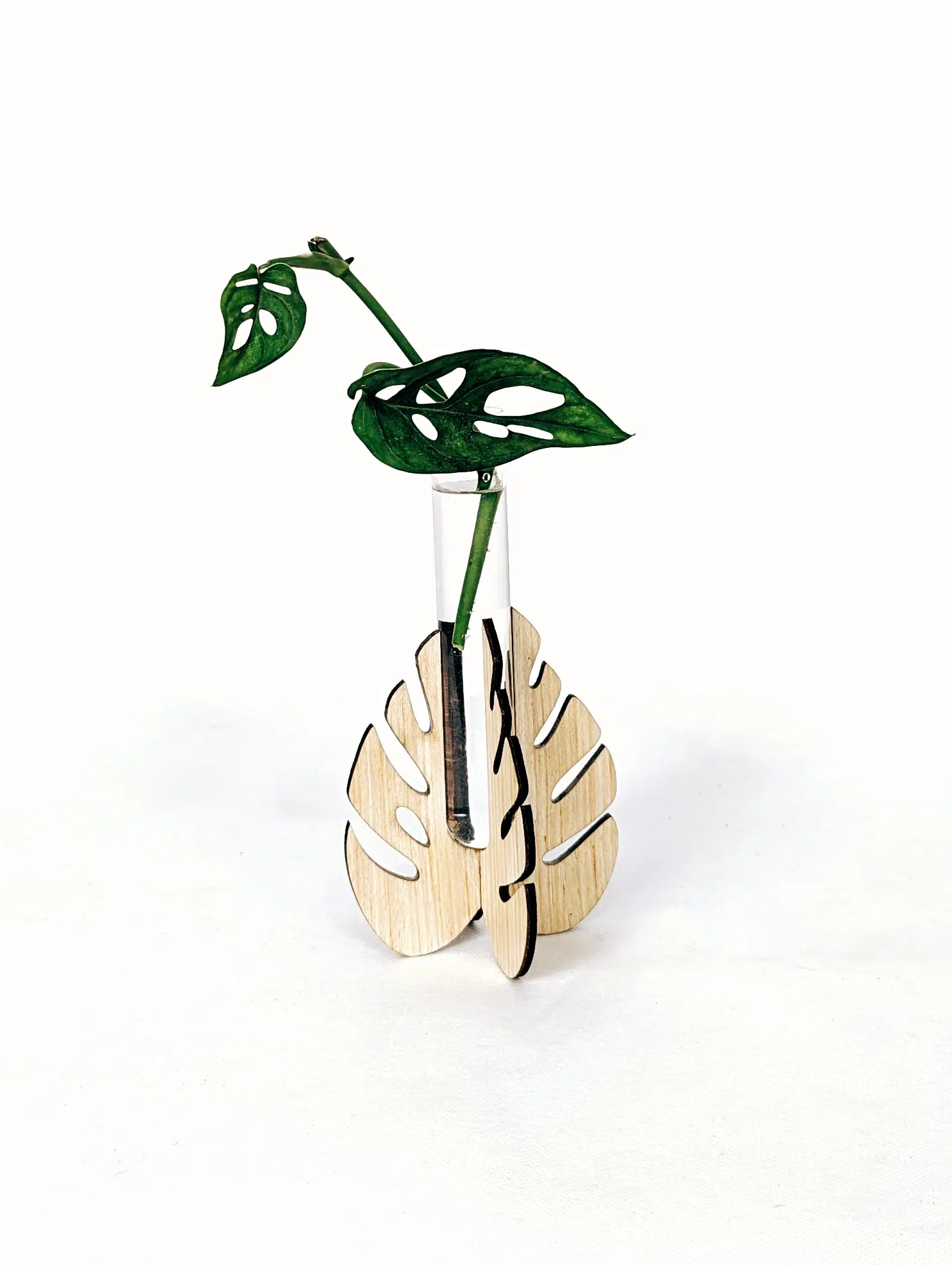 Soporte Hoja - Propagador | 19cm