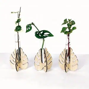 Alternative view of Soporte Hoja - Propagador | 19cm