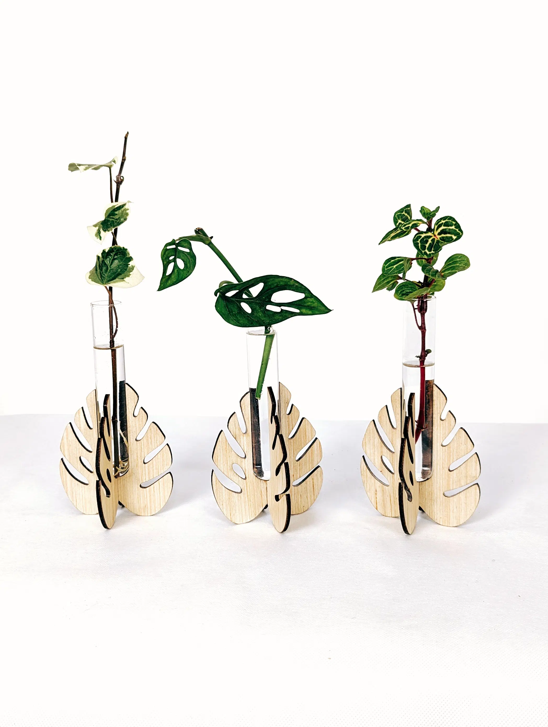 Soporte Hoja - Propagador | 19cm - Imagen 2