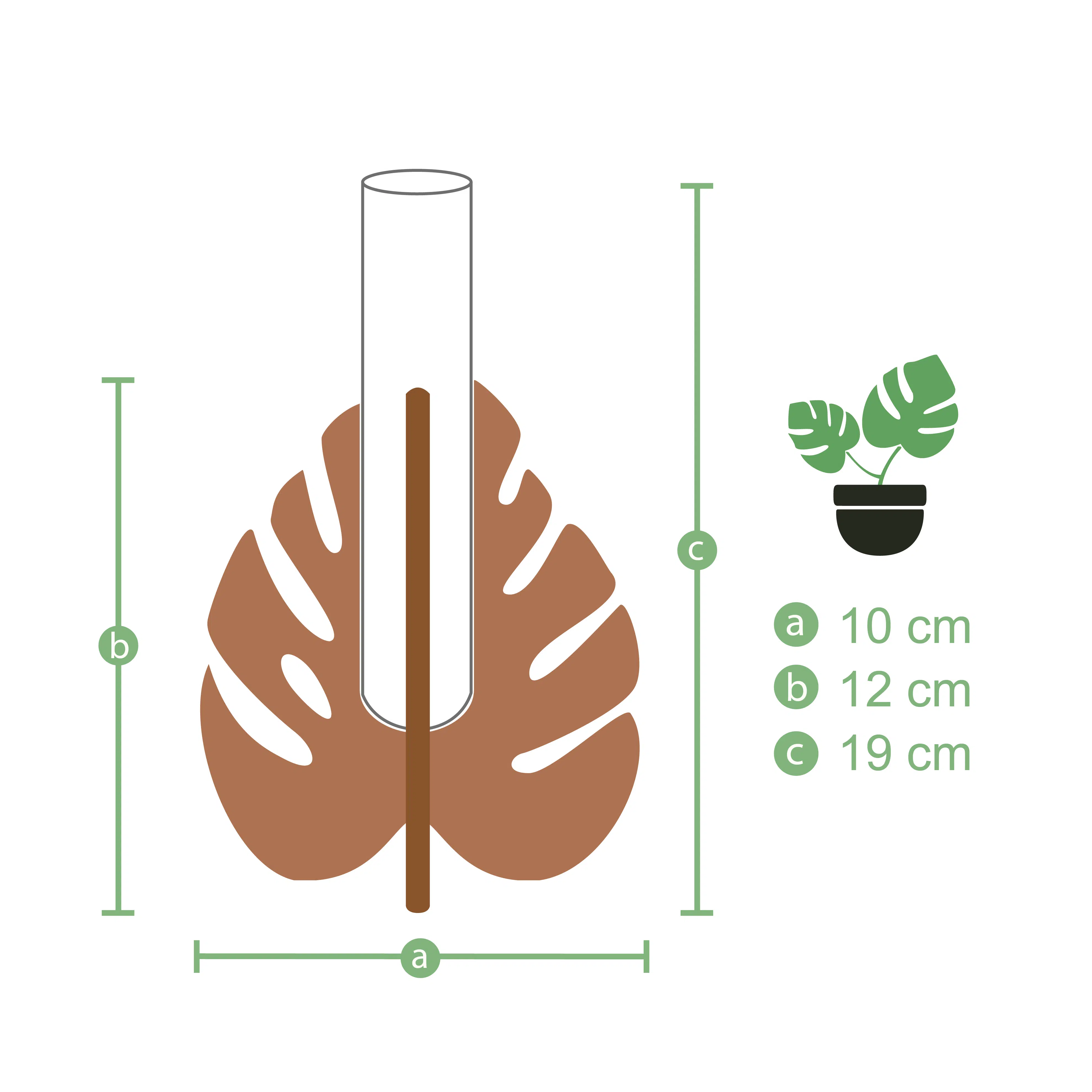 Soporte Hoja - Propagador | 19cm - Imagen 4