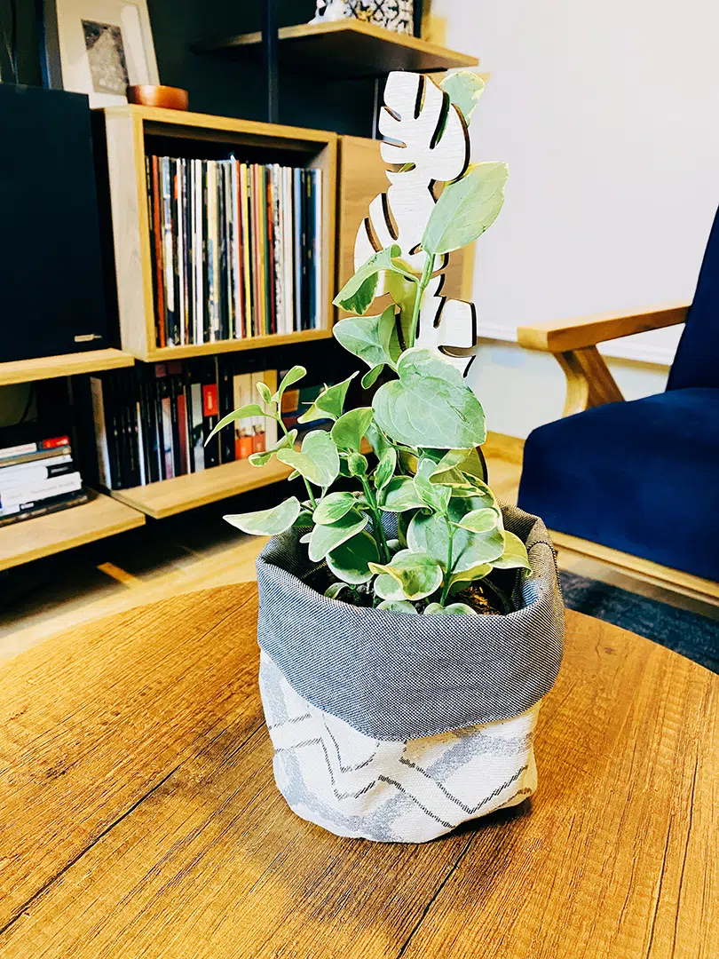 Soporte Hoja -tutor/parante | 30cm - Imagen 4