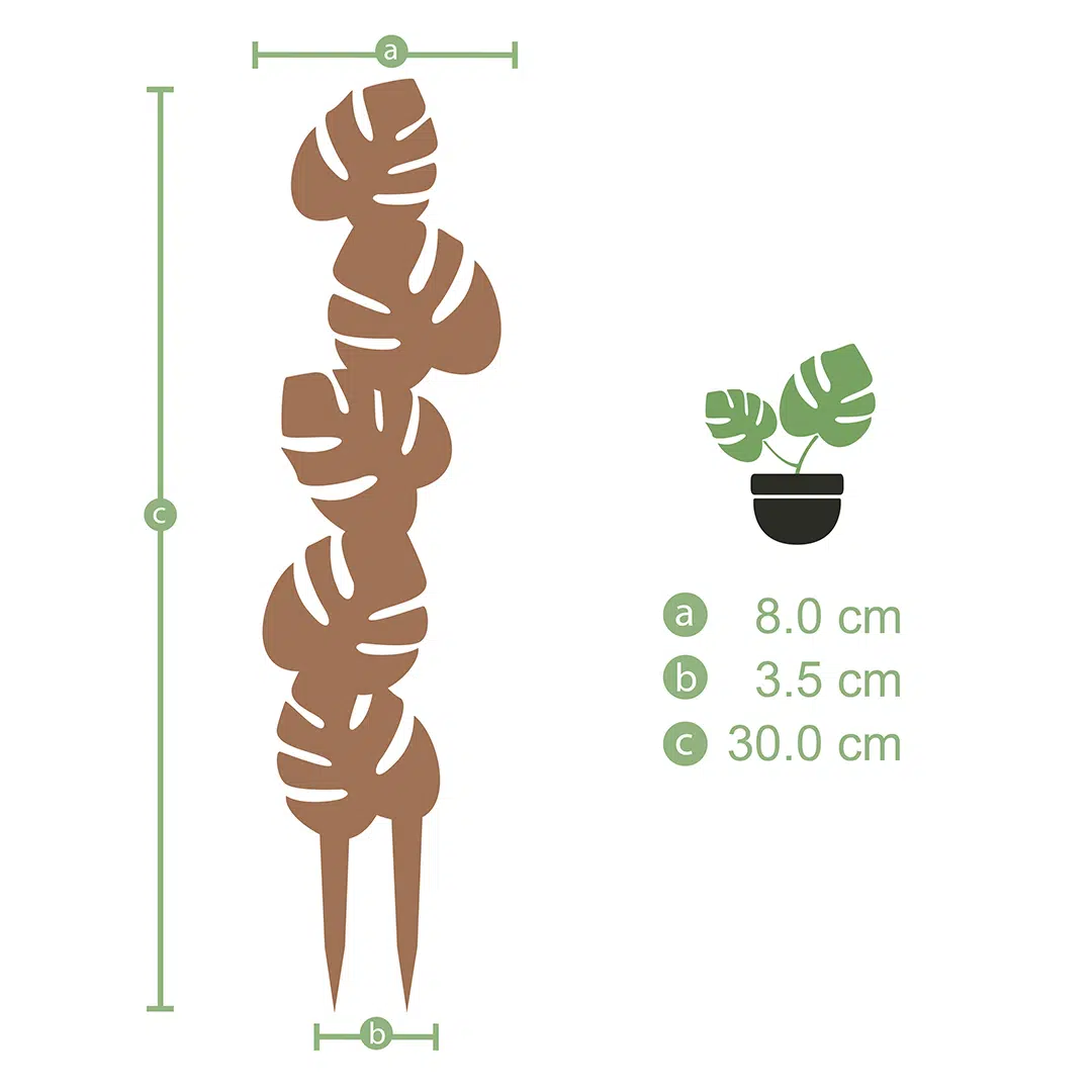 Soporte Hoja -tutor/parante | 30cm - Imagen 5