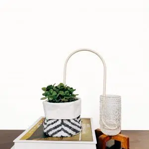 Alternative view of Auto Riego para Plantas
