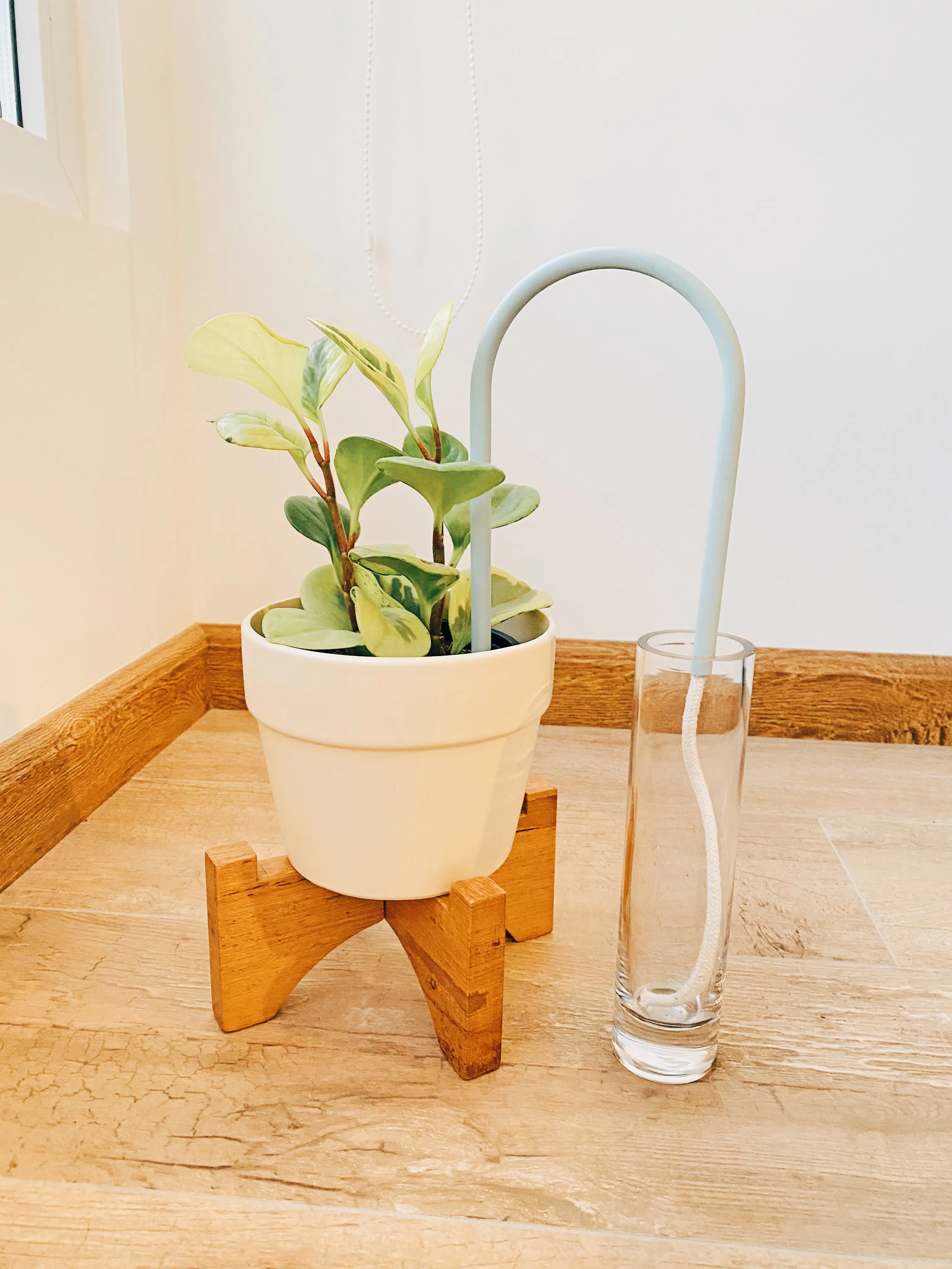 Auto Riego para Plantas - Imagen 7