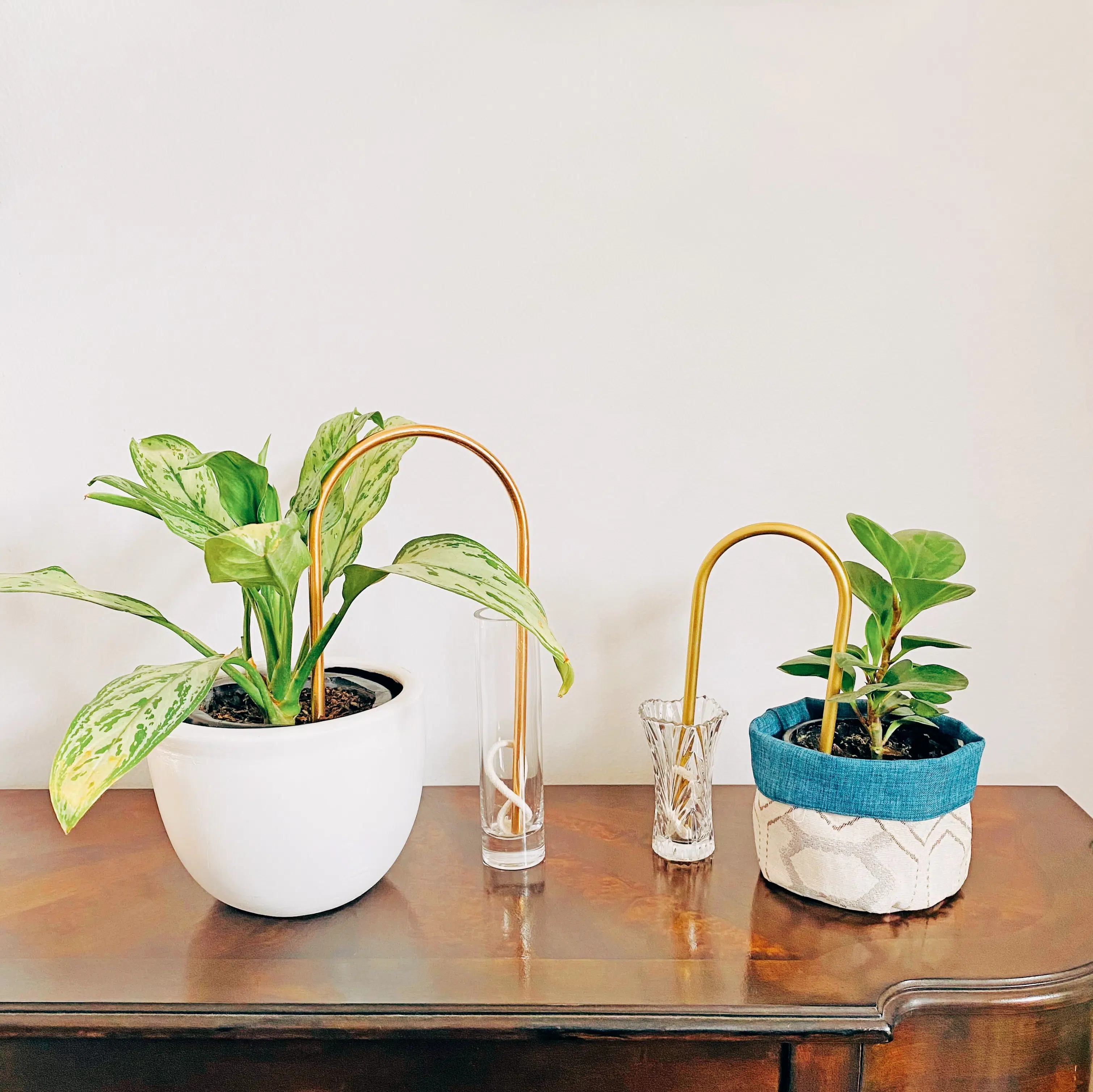 Auto Riego para Plantas - Imagen 6
