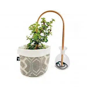 Auto Riego para Plantas