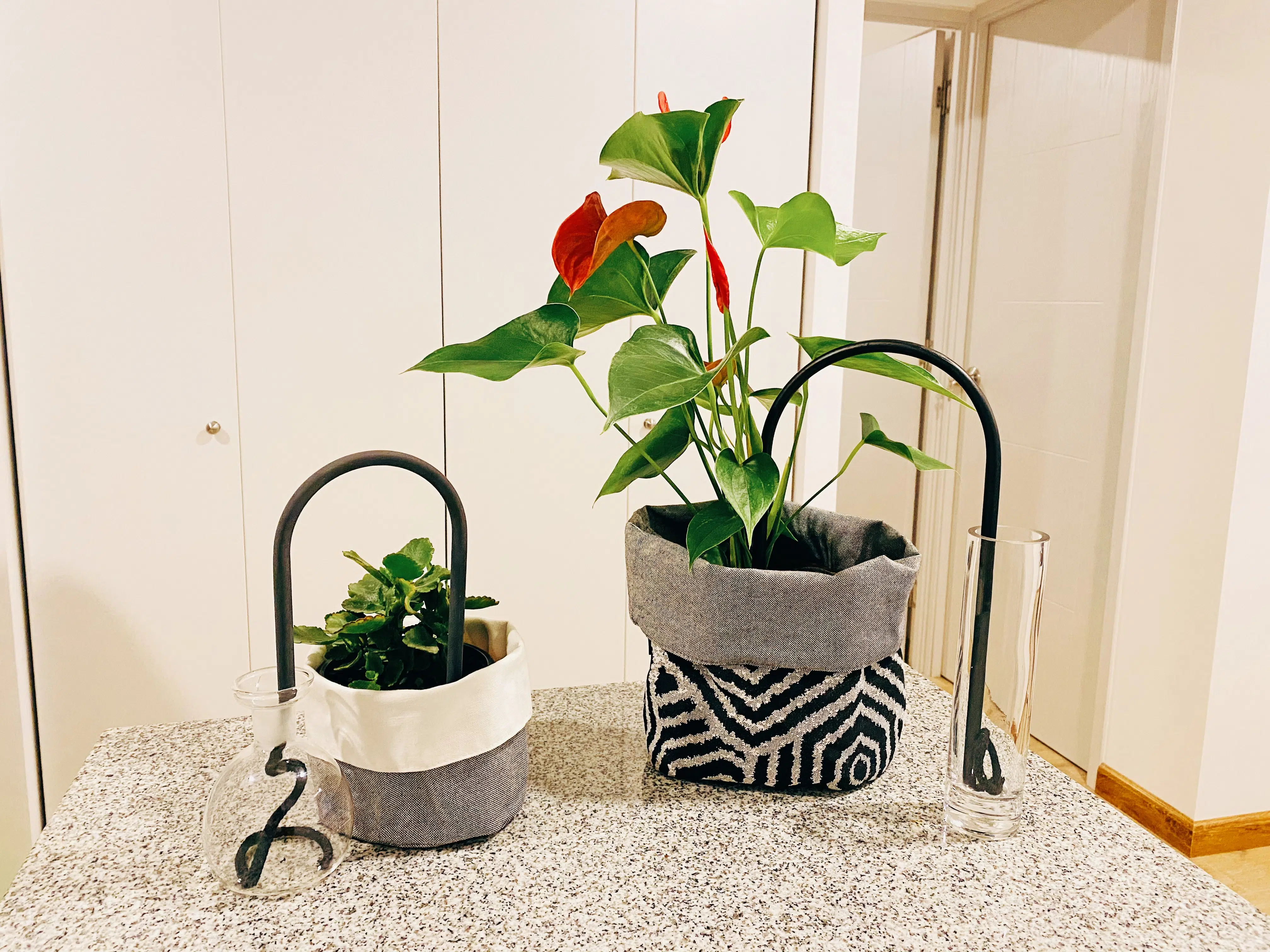 Auto Riego para Plantas - Imagen 5