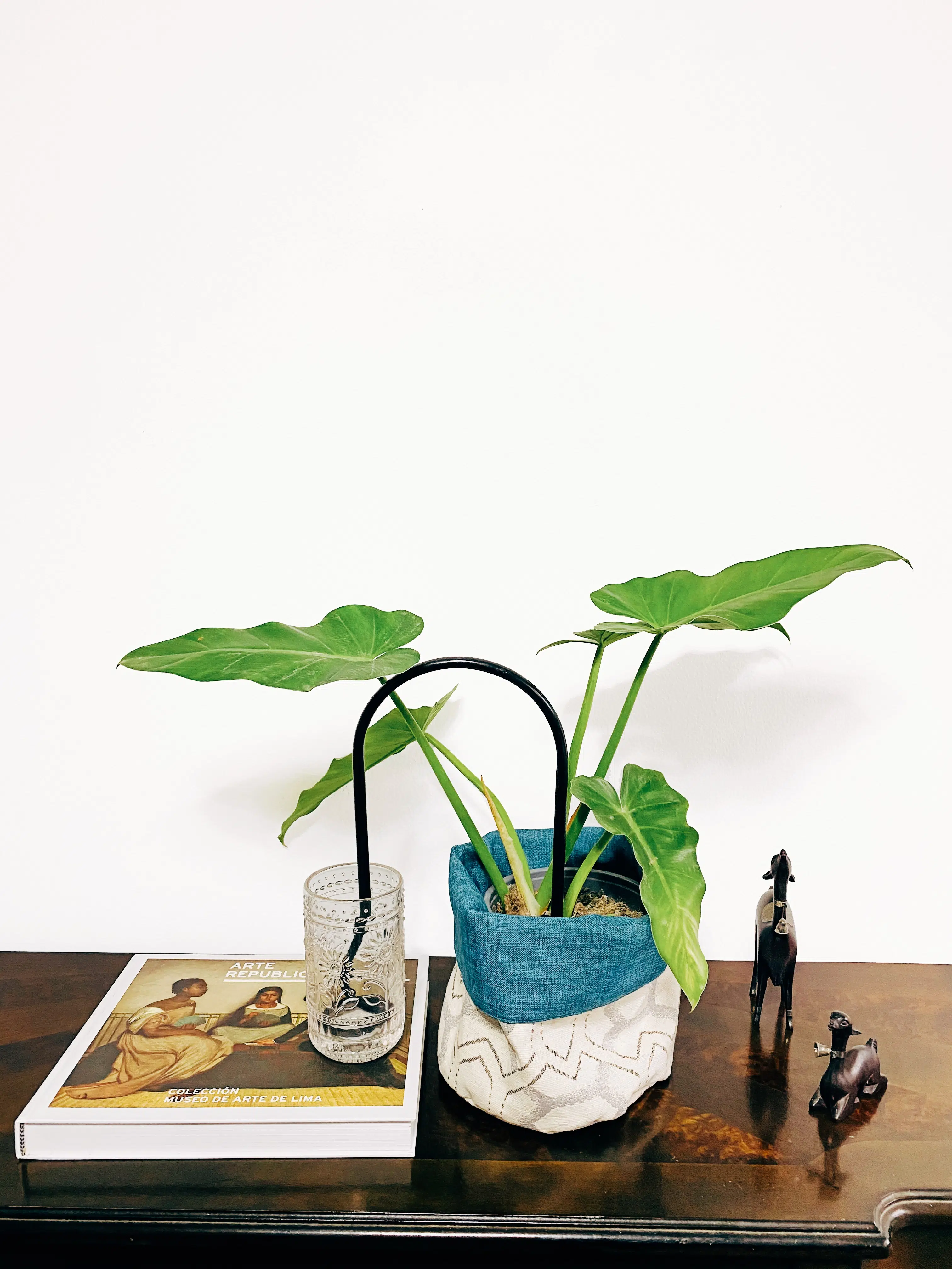 Auto Riego para Plantas - Imagen 4
