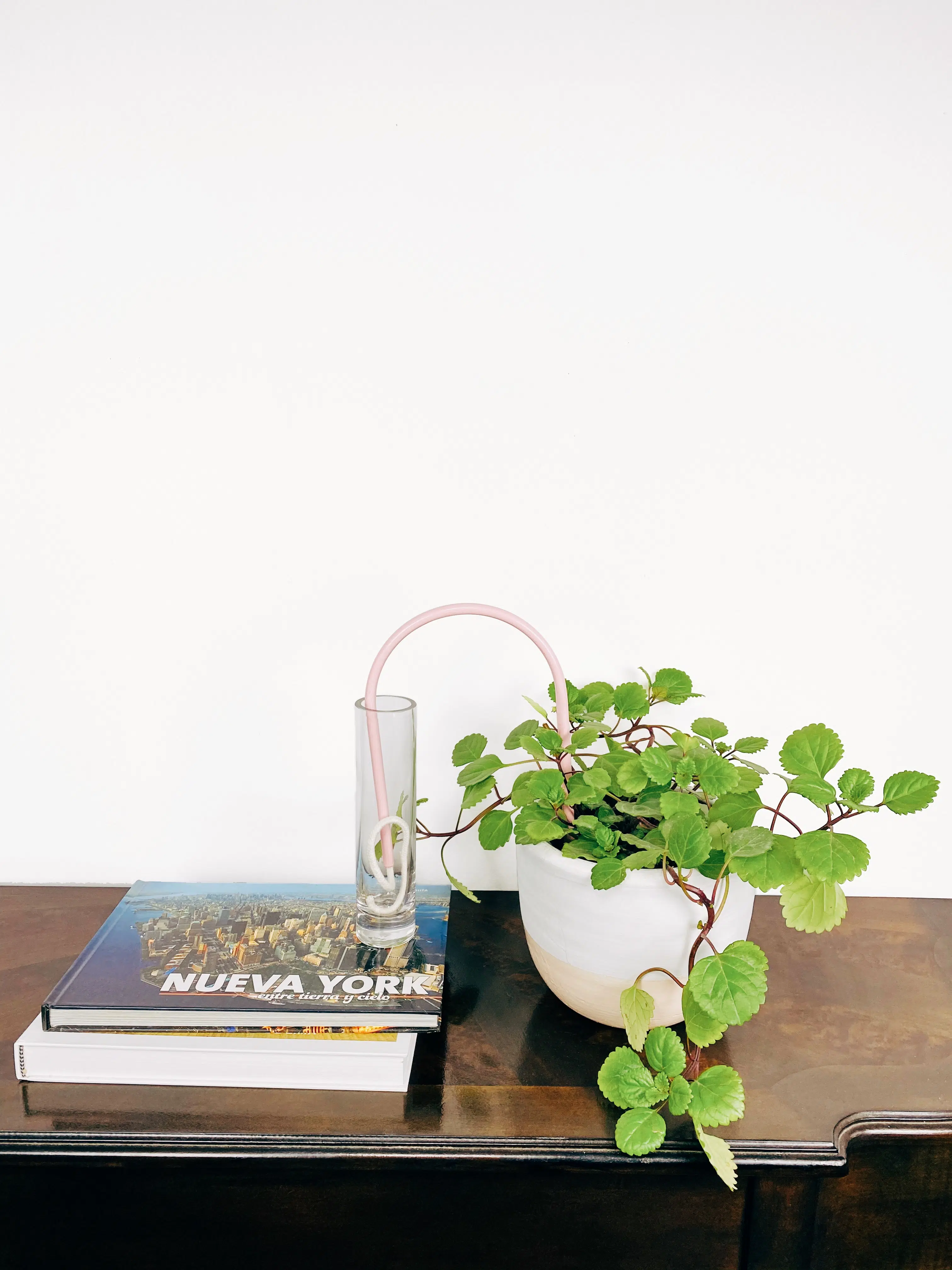 Auto Riego para Plantas - Imagen 3