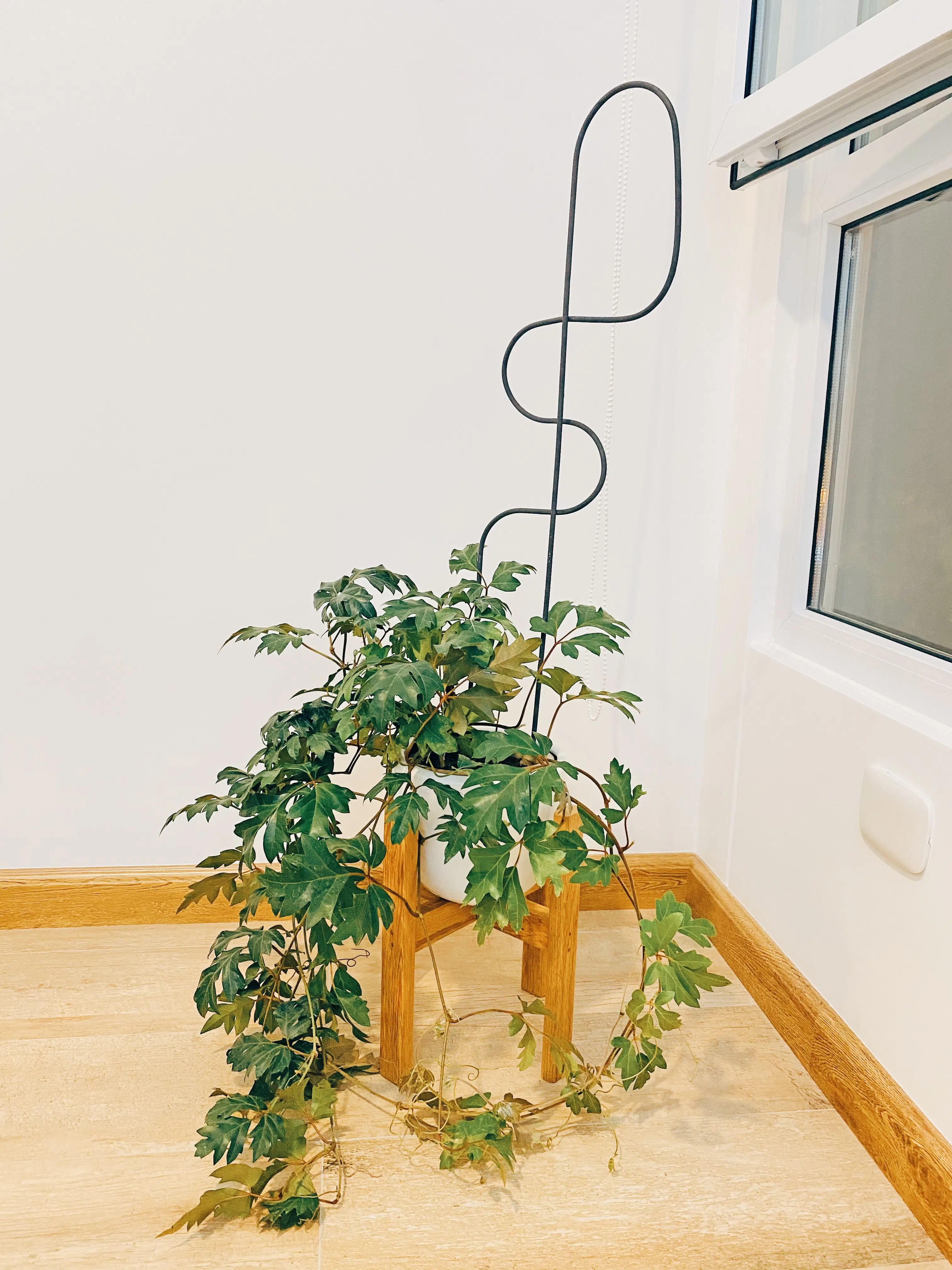 Soporte de Metal para plantas | 70cm - Imagen 2