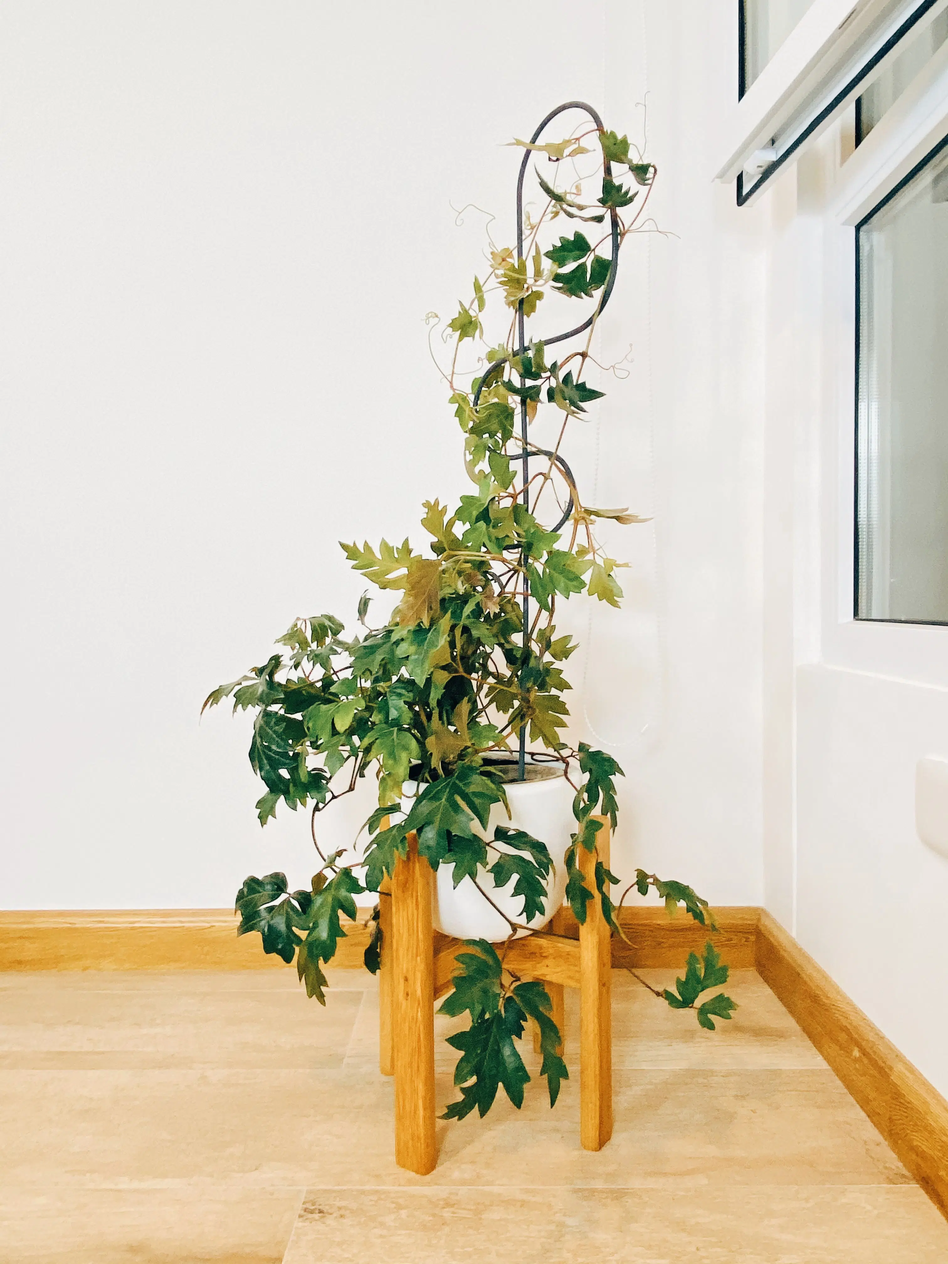 Soporte de Metal para plantas | 70cm - Imagen 3