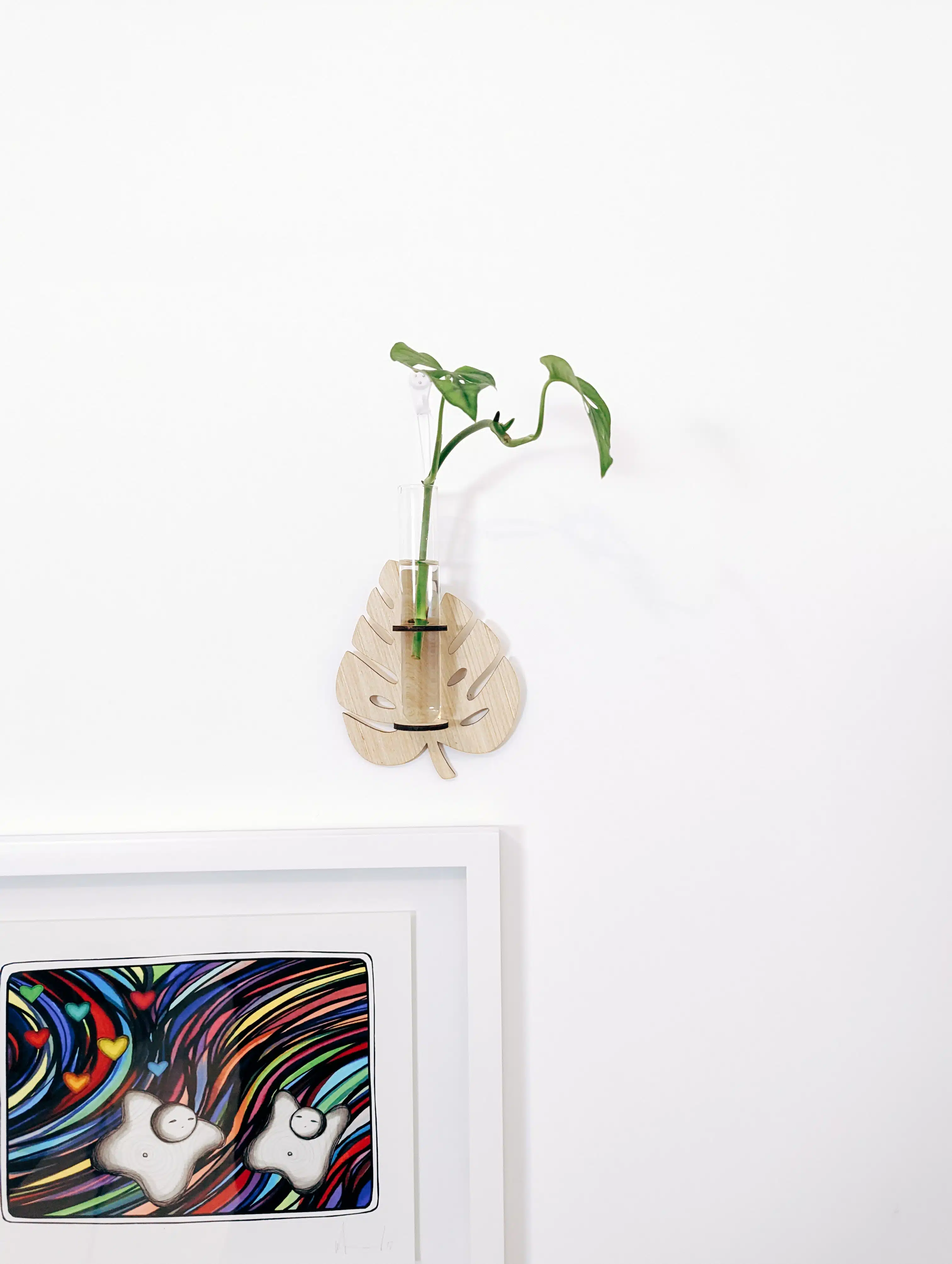 Propagador de Plantas para Pared | 19cm - Imagen 4