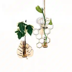 Propagador de Plantas para Pared | 19cm