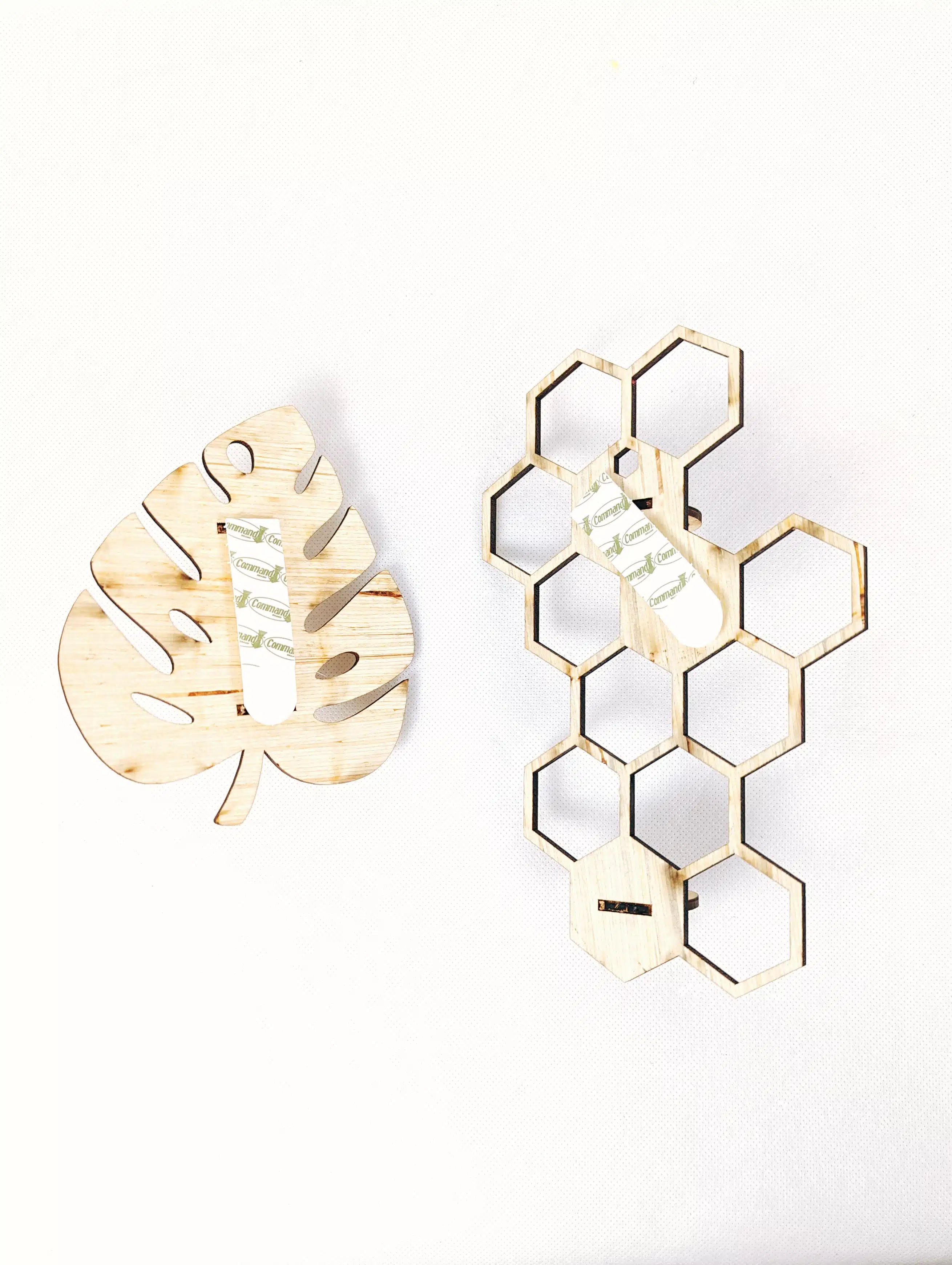 Propagador de Plantas para Pared | 19cm - Imagen 3