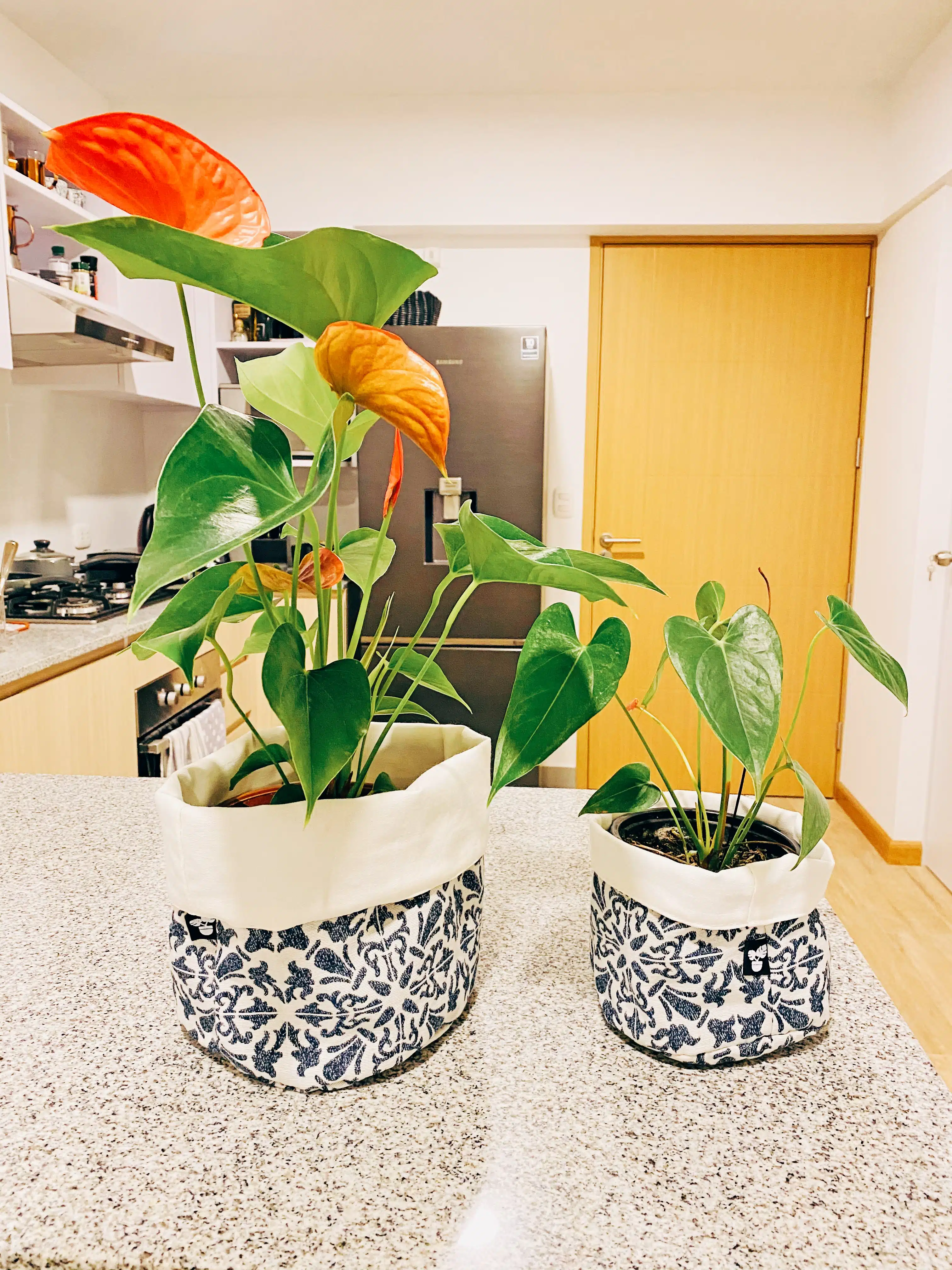 Porta maceta de Tela para plantas | 15 a 20cm - Imagen 8