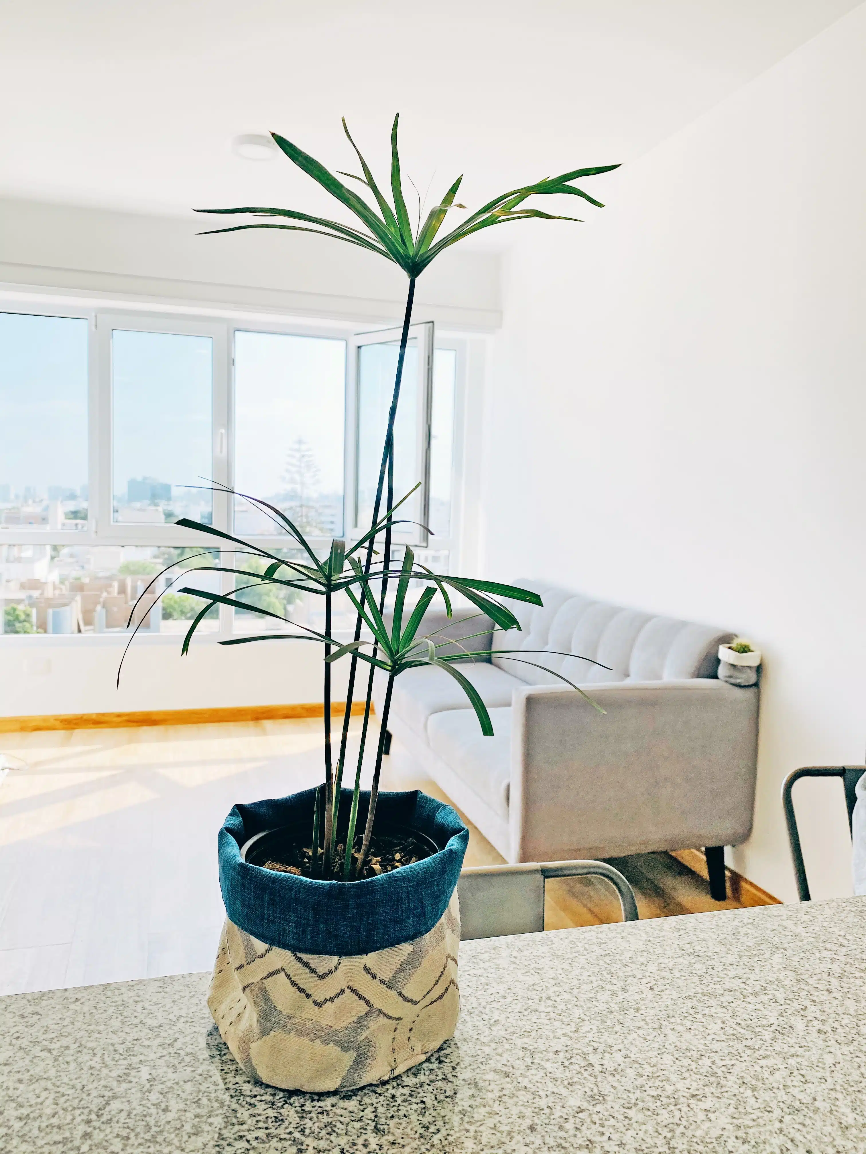Porta maceta de Tela para plantas | 15 a 20cm - Imagen 5