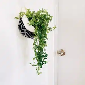 Porta maceta colgante de Tela para plantas | 15 cm