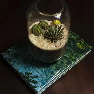 Alternative view of Terrario Tropical Micaela | 16cm