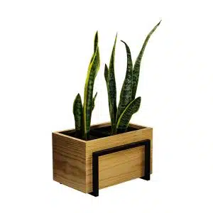 Portamaceta Rectangular | 26cm