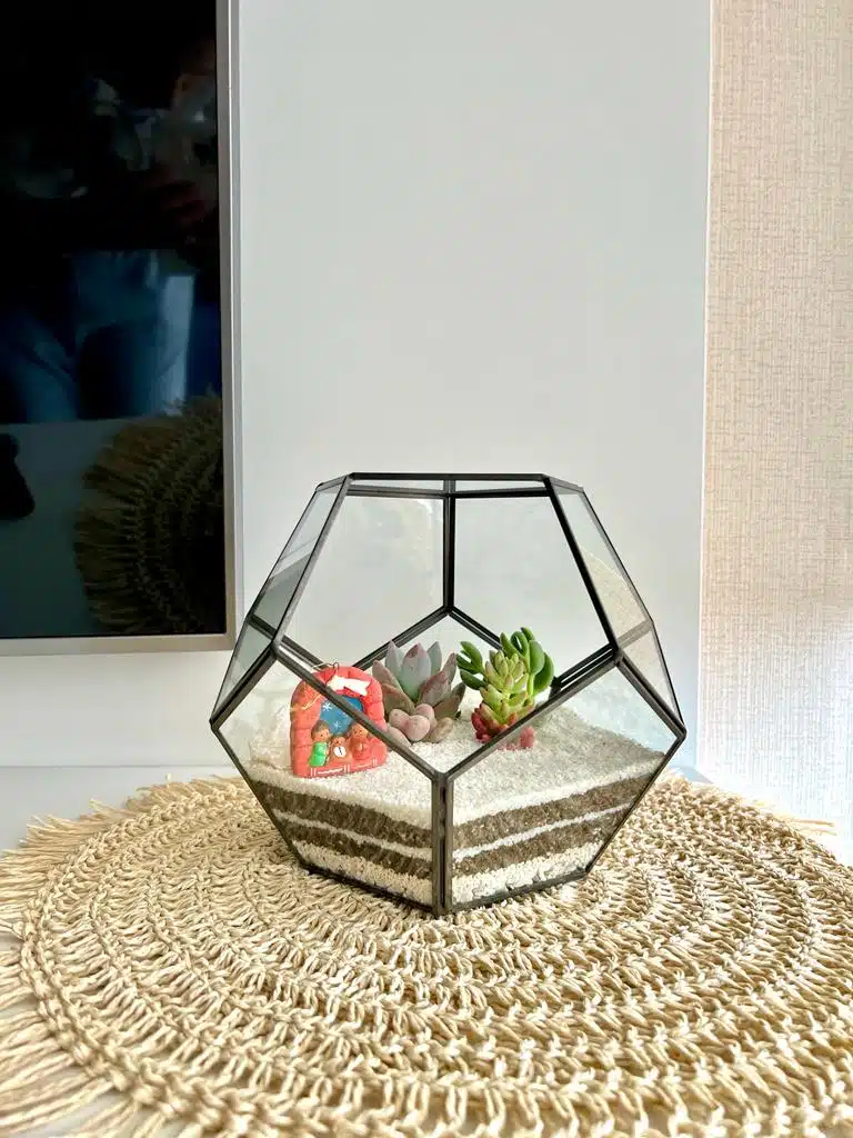 Terrario Tropical Abstract M | 15cm - Imagen 4