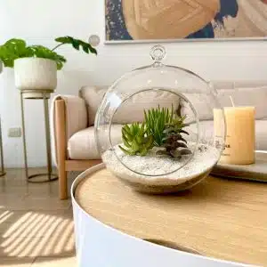 Alternative view of Terrario Tropical Berna Grande | 19,5 cm