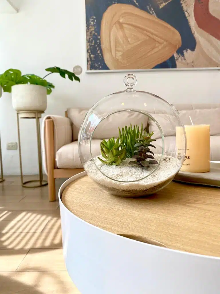 Terrario Tropical Berna Grande | 19,5 cm - Imagen 2