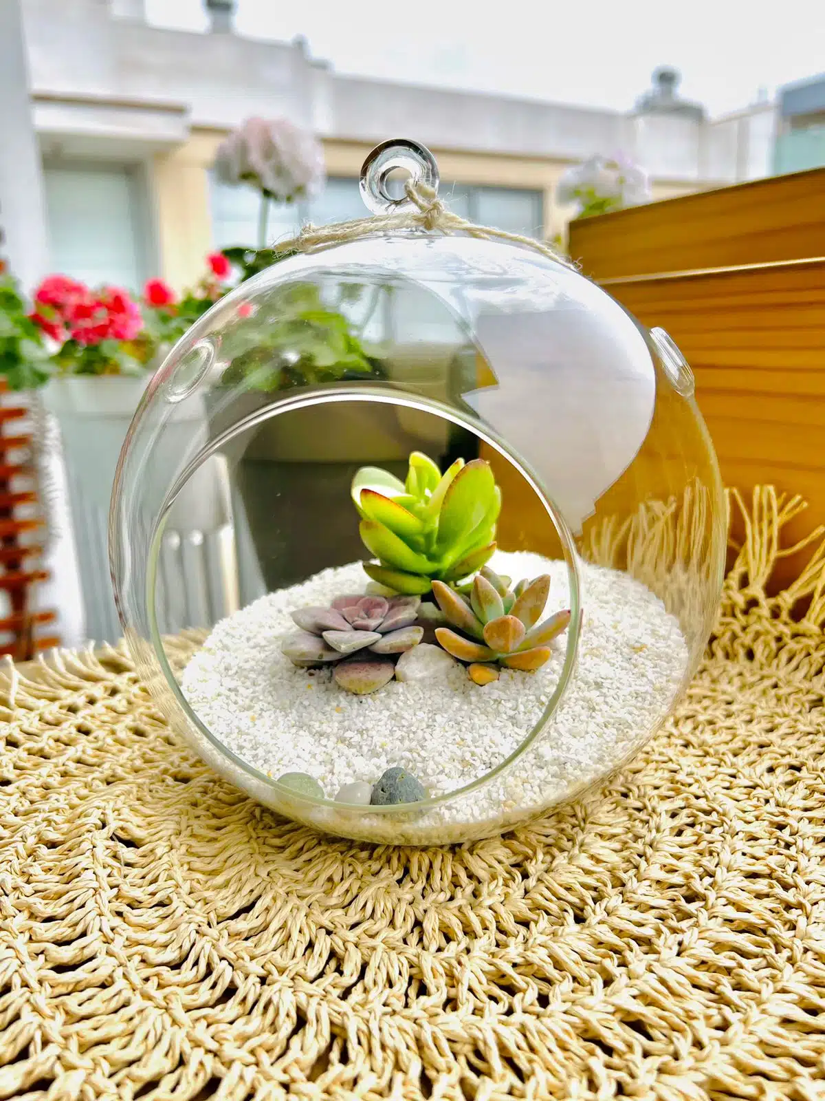 Terrario Tropical Berna Grande | 19,5 cm - Imagen 3