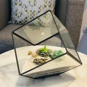 Alternative view of Terrario Tropical Geometric Cube | 23cm