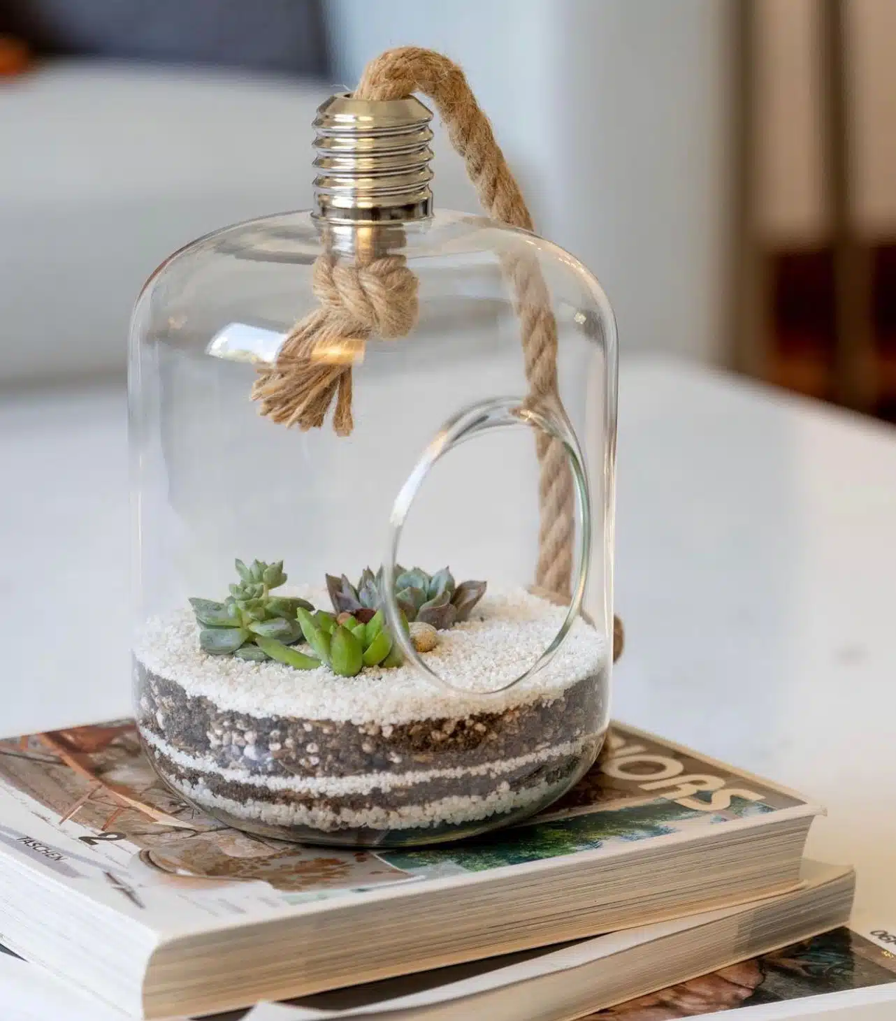 Terrario Tropical Lucerna | 24cm - Imagen 2