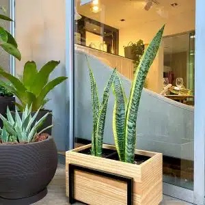Alternative view of Portamaceta Rectangular | 26cm