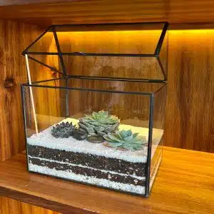 Alternative view of Terrario Tropical Greenhouse | 26 cm