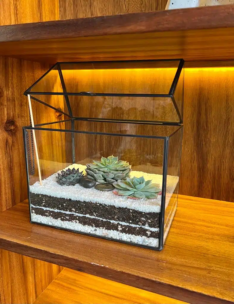 Terrario Tropical Greenhouse | 26 cm - Imagen 2